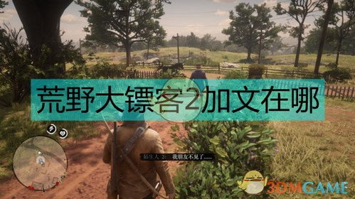 《荒野大鏢客2》中神秘失蹤的加文及其環(huán)保寓意