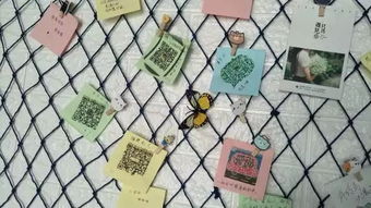 抖音同款撩漢把妹神器上線，助力社交環保新風尚